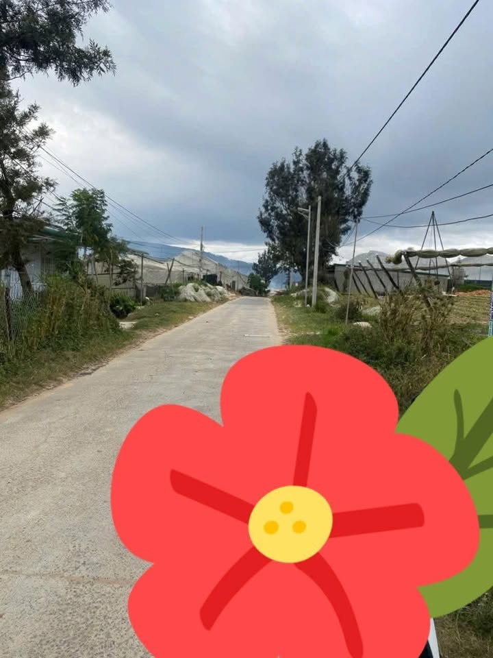 Đất Tân Hiên, Đơn Dương 3548m² giá 2.294 tỷ - Cơ hội đầu tư hiếm có!