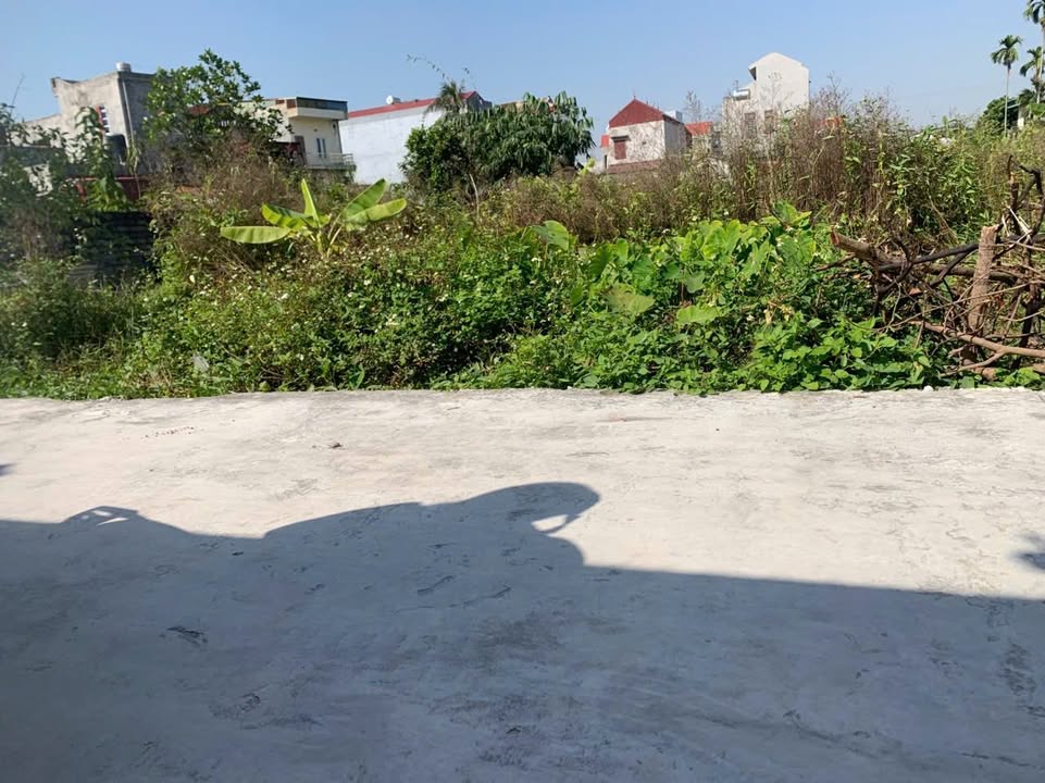 Đất nền Văn Tố Tứ Kỳ 140m² - Mặt tiền rộng, vị trí kinh doanh đắc địa!