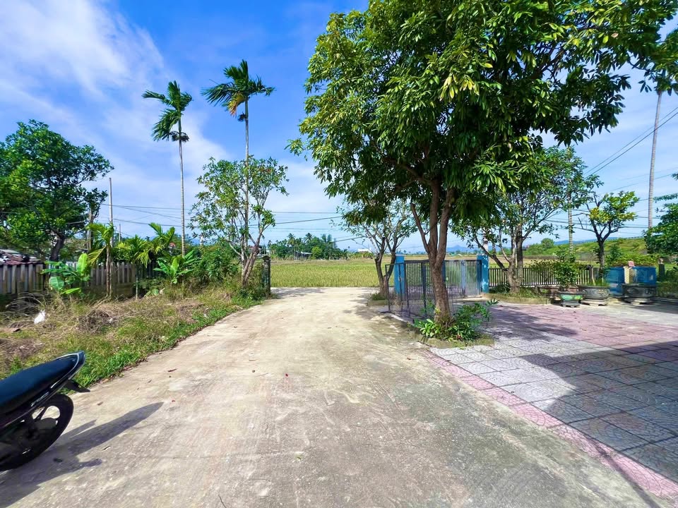 Đất Nam Kỳ Khởi Nghĩa Hòa Tiến 256m² giá 1.55 tỷ - Đầu tư sinh lời ngay!