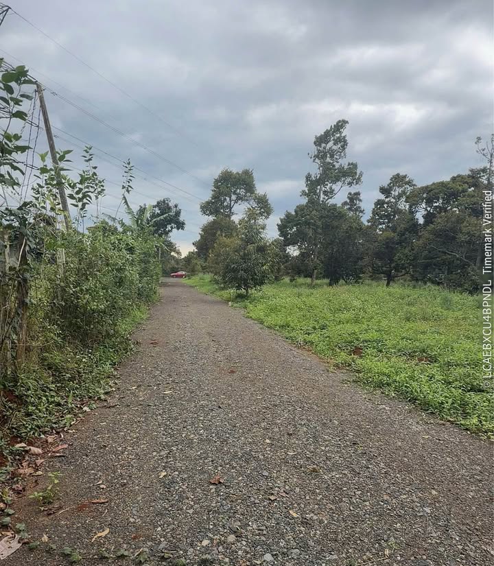 Đất sào Nguyễn Xuân Nguyên, Tân An, Buôn Ma Thuột 500m² giá 590 triệu - Cơ hội đầu tư tuyệt vời!