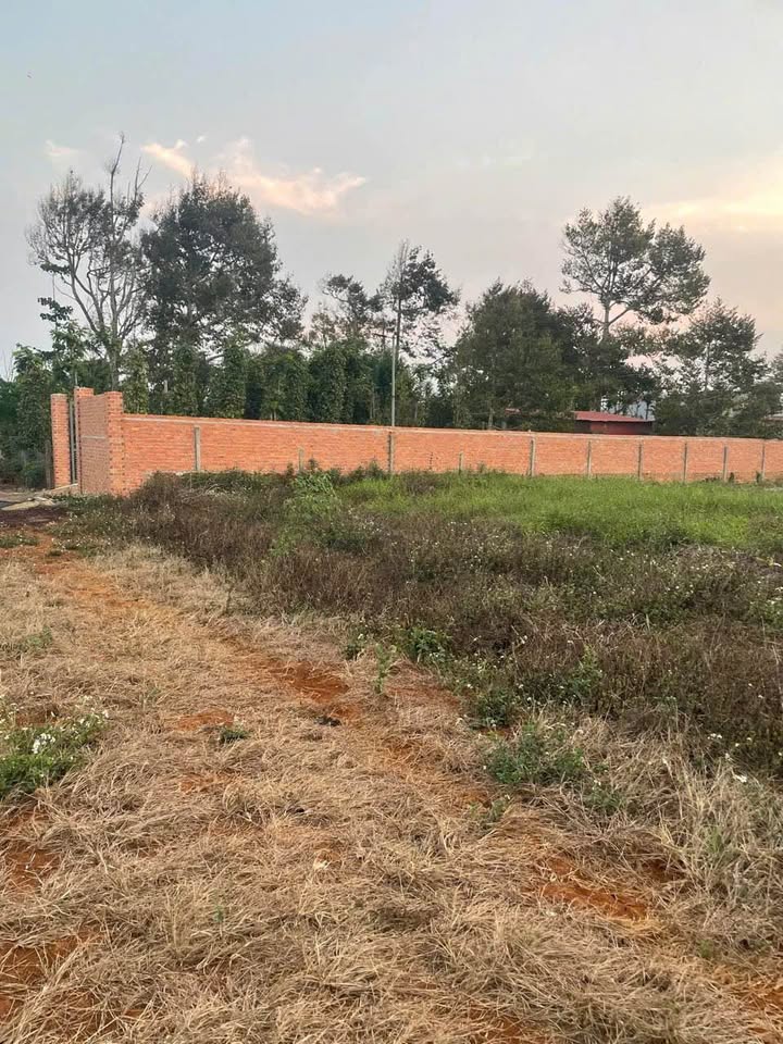 Đất nền Hòa Thắng Buôn Ma Thuột 130m² giá 899 triệu - Đầu tư siêu lợi nhuận!