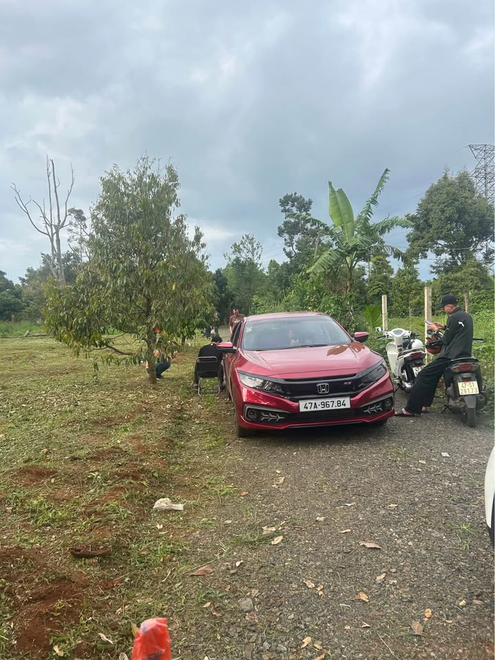 Nhà vườn cổ kính tại phường Tân An, Đắk Lắk 500m² - Nghỉ ngơi cuối tuần lý tưởng!