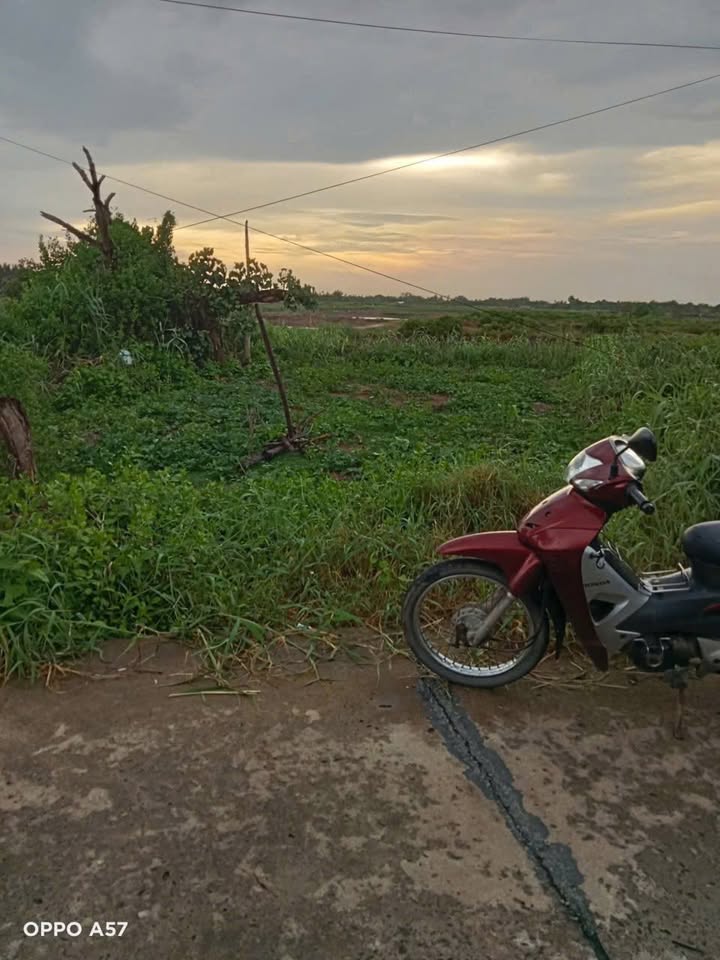 Đất nền Đại Hòa Lộc Bình Đại Bến Tre 4975m² giá 1.265 tỷ - Cơ hội sinh lời hấp dẫn!