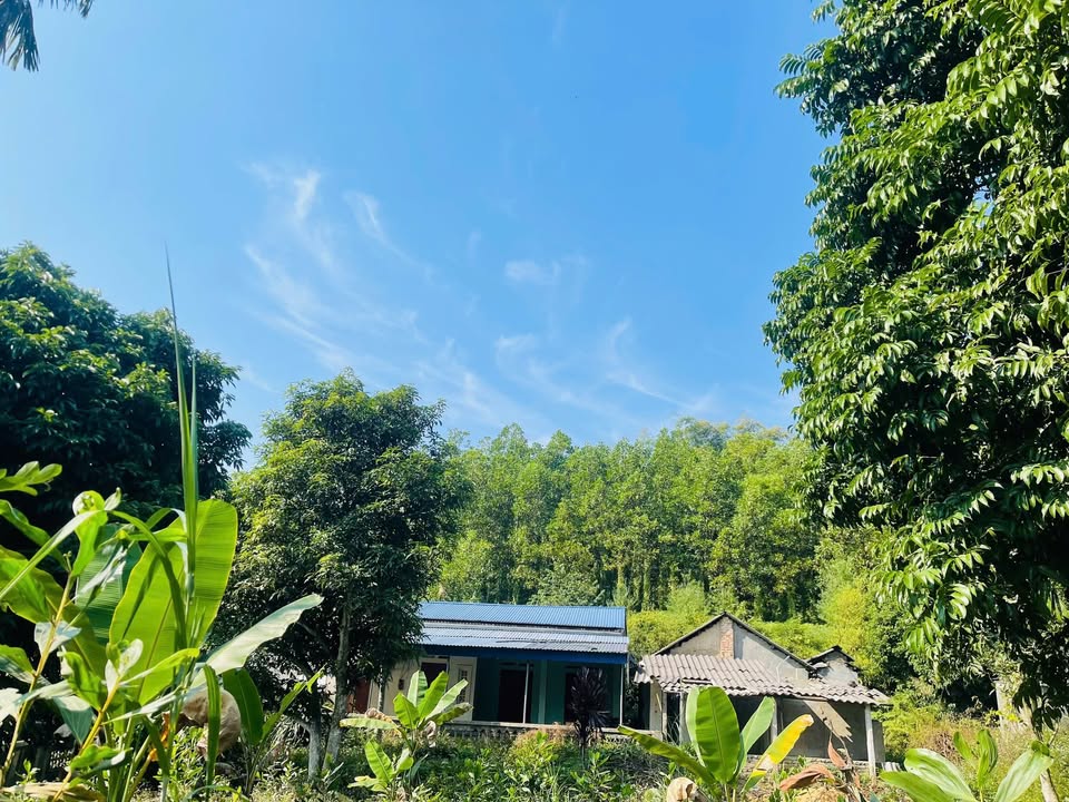 Đất thổ cư 5000m² tại Hồ Đá Giàn, Đại Từ - Tiềm năng đầu tư lớn!