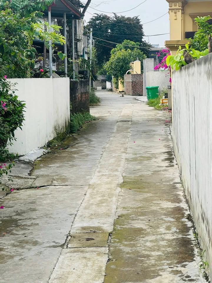 Đất nền TDP Hà Đỗ 2, phường Hồng Phong, Hải Phòng 66,7m² giá 1,3 tỷ - Cơ hội đầu tư hấp dẫn!