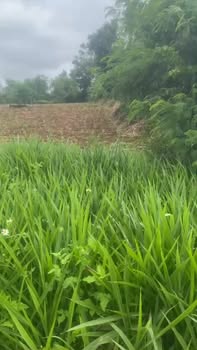 Đất nền Phú Xuân 900m² giá 8.1 tỷ - Tiềm năng đầu tư tuyệt vời!