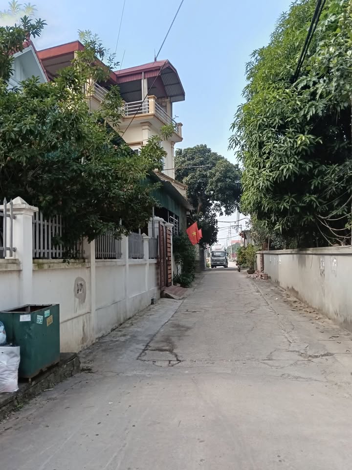 Đất nền Quất Động Thường Tín 97,6m² giá 4.497 tỷ - Lô hai mặt tiền thoáng đẹp!