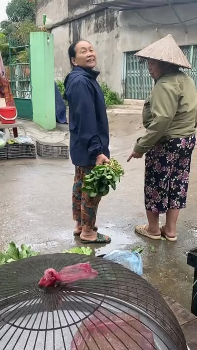 Nhà phố kinh doanh mặt tiền đường Lý Thường Kiệt, Đông Hà 304m² - Vị trí đắc địa, sinh lời cao!