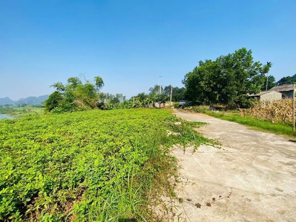 Đất nền Phú Nghĩa Lạc Thủy 2261m² - Giá thỏa thuận - View sông Bôi tuyệt đẹp!