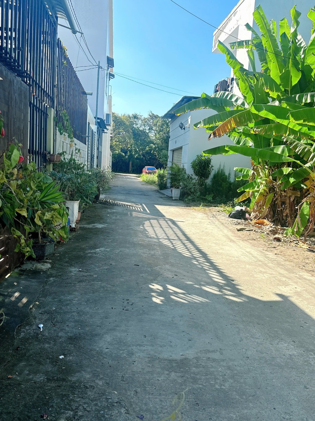 Bán đất thổ cư Phú Nhuận, Bến Tre 87.5m² - Mặt tiền đường ô tô, giá chỉ 1.05 tỷ!