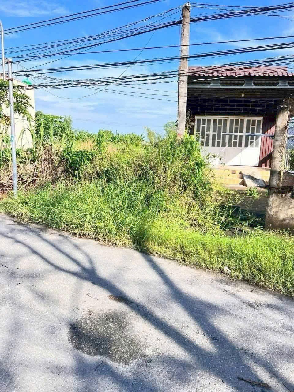 Đất thổ cư 120m² mặt tiền nhựa An Gòn 8m - Chính chủ bán gấp giá 950 triệu