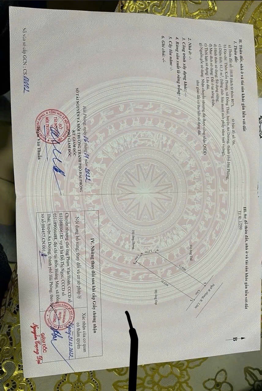 Đất nền 61.5m² TDP Kiến Phong, An Hải - Đầu tư sinh lời lý tưởng!