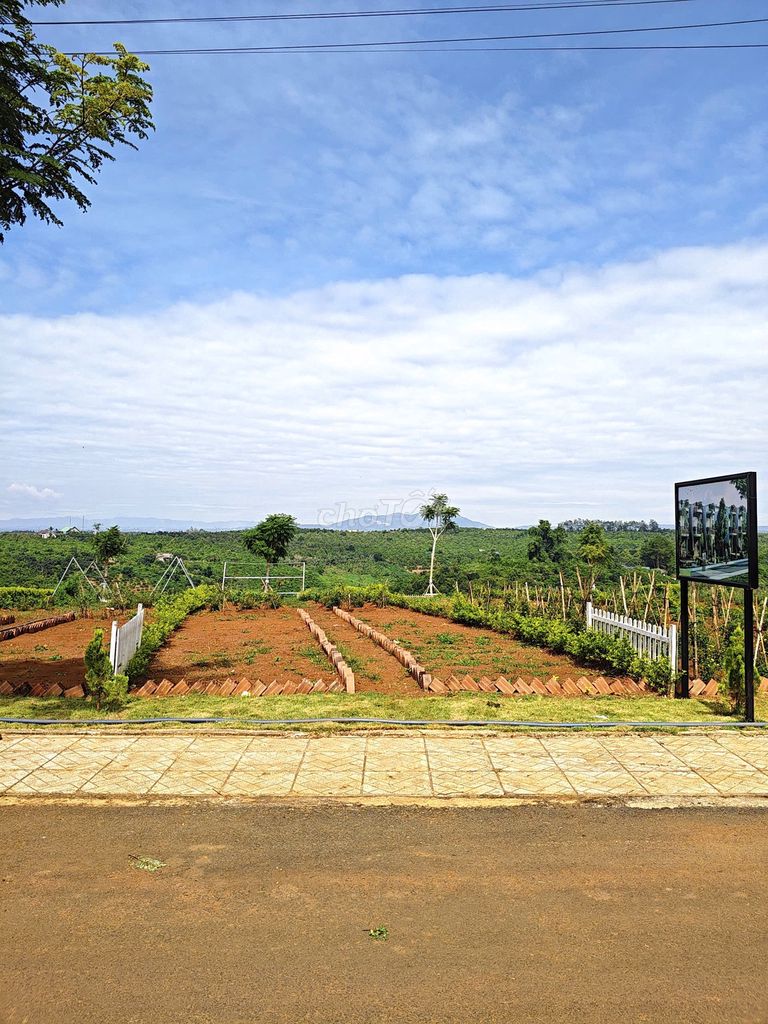 Lô Đất Chính Chủ 320m² Gần Trung Tâm Di Linh - Tiềm Năng Tăng Giá Cao!