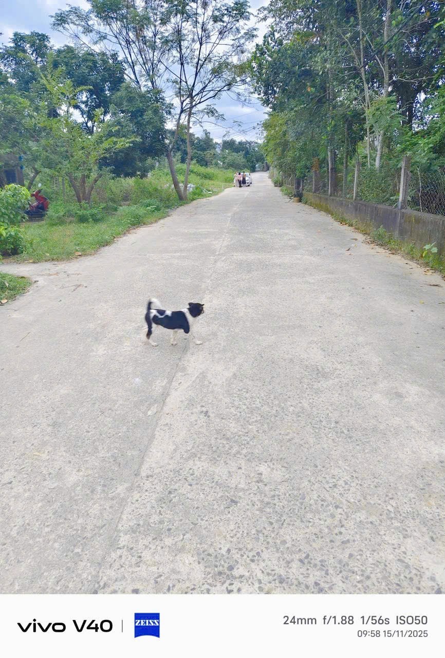 Nhà phố Phú Thượng Hoà Sơn 100m² giá 1.4 tỷ - Đường 6m ô tô vào tận nhà!