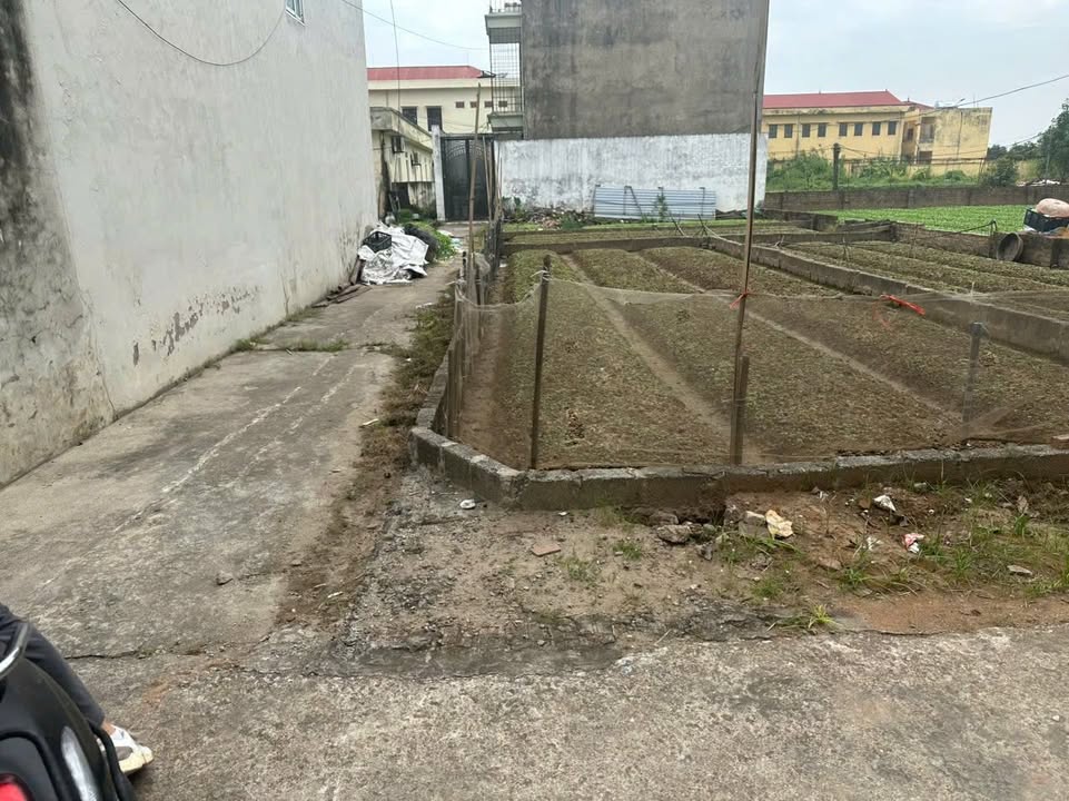 Đất nền lô góc Thư Phú - Thường Tín 69,2m² giá 4.249 tỷ - Cách chợ chỉ 500m!