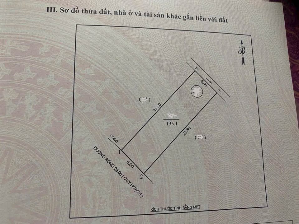 Đất kinh doanh mặt đường Nguyễn Viết Lục, 135m² chỉ 9.045 tỷ - Cơ hội đầu tư vàng!
