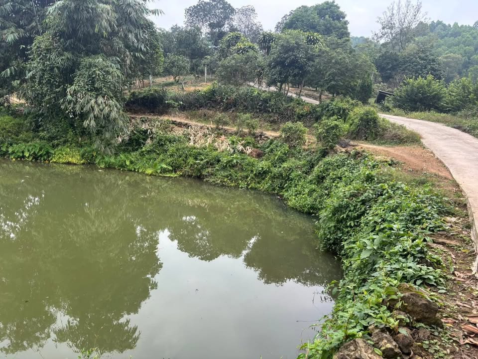 Đất Farm Giang Long - Giang Tiên 37.000m² - Phù hợp làm trang trại nghỉ dưỡng!