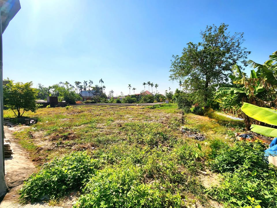 Đất nền Tĩnh Hải, Hòa Nghĩa, Dương Kinh 393m² - Sổ hồng chính chủ, giá chỉ 1x triệu/m²!