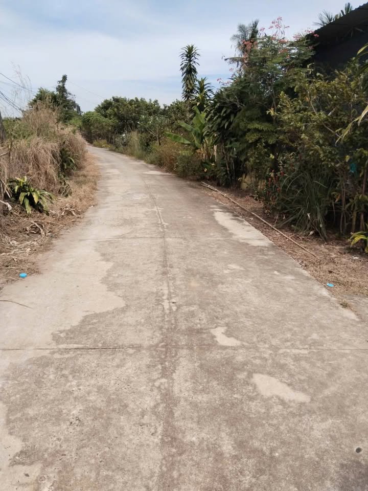 Đất nền khu phố 1, Thị trấn Tân Biên 902m² giá 100 triệu - Cơ hội đầu tư tuyệt vời!