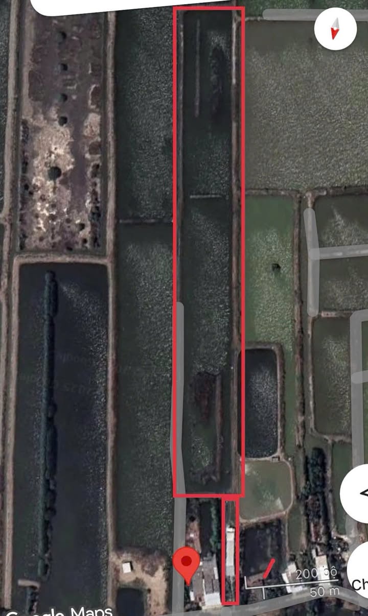 Đất vườn 13000m² tại ấp Toàn Thắng, Bạc Liêu chỉ 2.1 tỷ - Sổ hồng chính chủ!