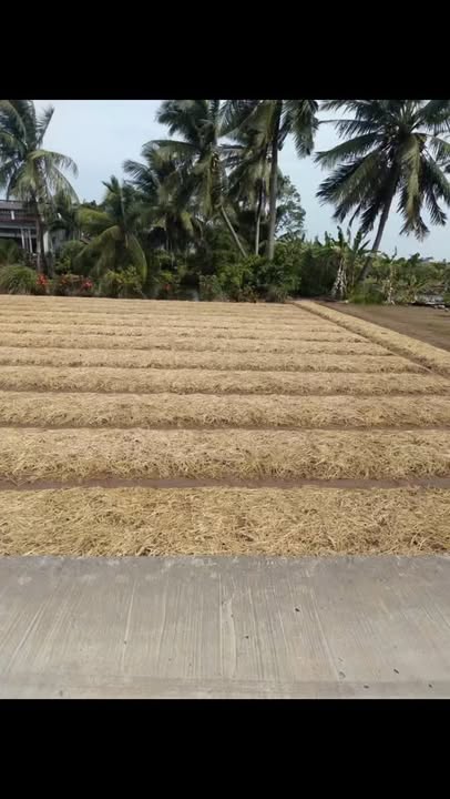 Đất nền Giồng Giữa Hiệp Thành Bạc Liêu 582m² - Sổ hồng chính chủ, giá chỉ 18.6 tỷ!