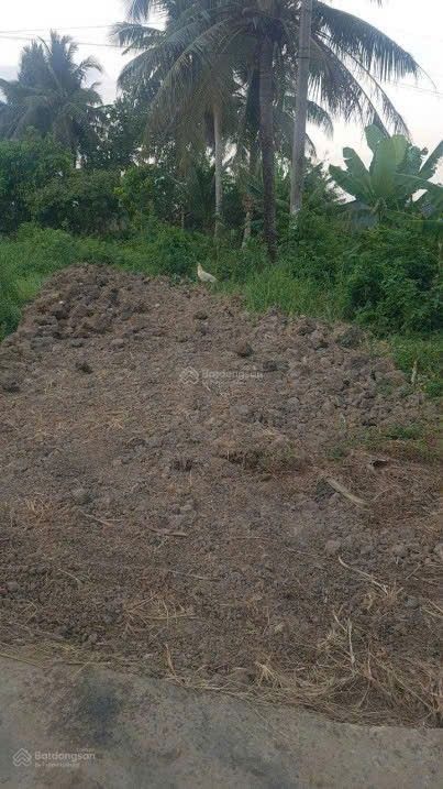 Đất nền Hưng Hội Vĩnh Lợi Bạc Liêu 150m² giá 290 triệu - Sổ đỏ chính chủ