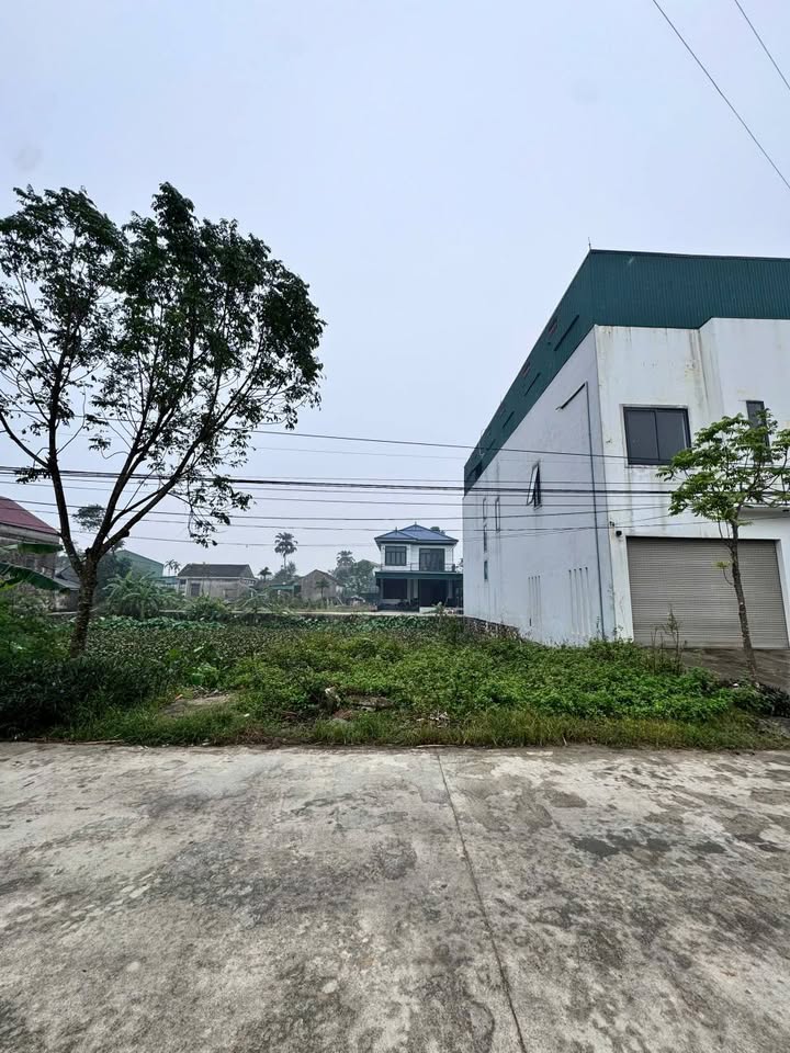 Đất nền Thạch Đài, Thạch Hà 196.5m² giá 3.9 tỷ - Đường lớn ô tô tránh nhau!