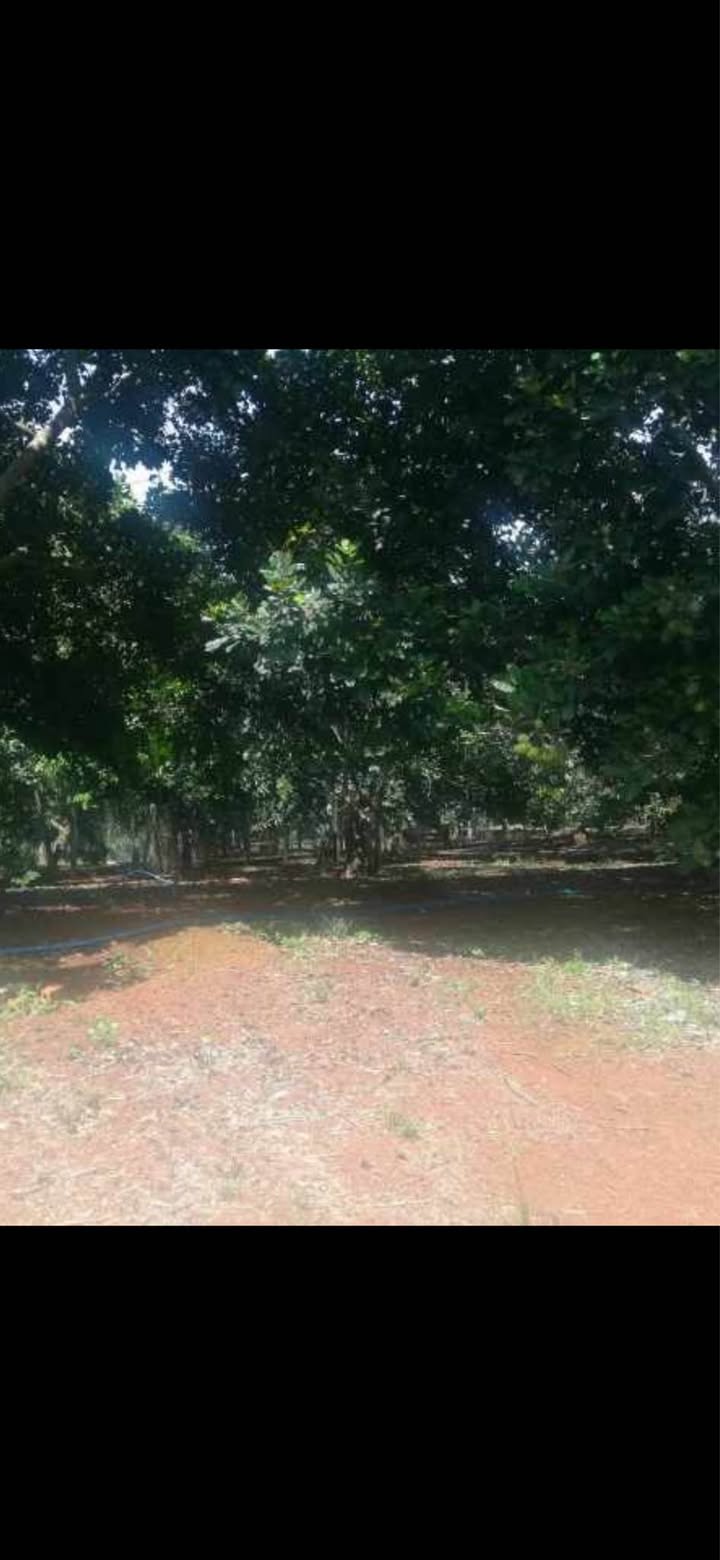 Đất nền Hưng Lộc, Thống Nhất 1000m² chỉ 1.5 tỷ - Đường xe hơi, gần khu công nghiệp!