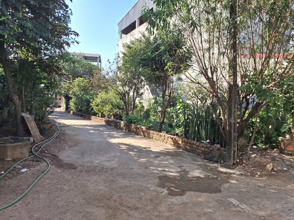 Đất Giãn Dân Nhà Nước Tân Xã 125m² - Pháp lý đầy đủ, gần chợ và trường học!