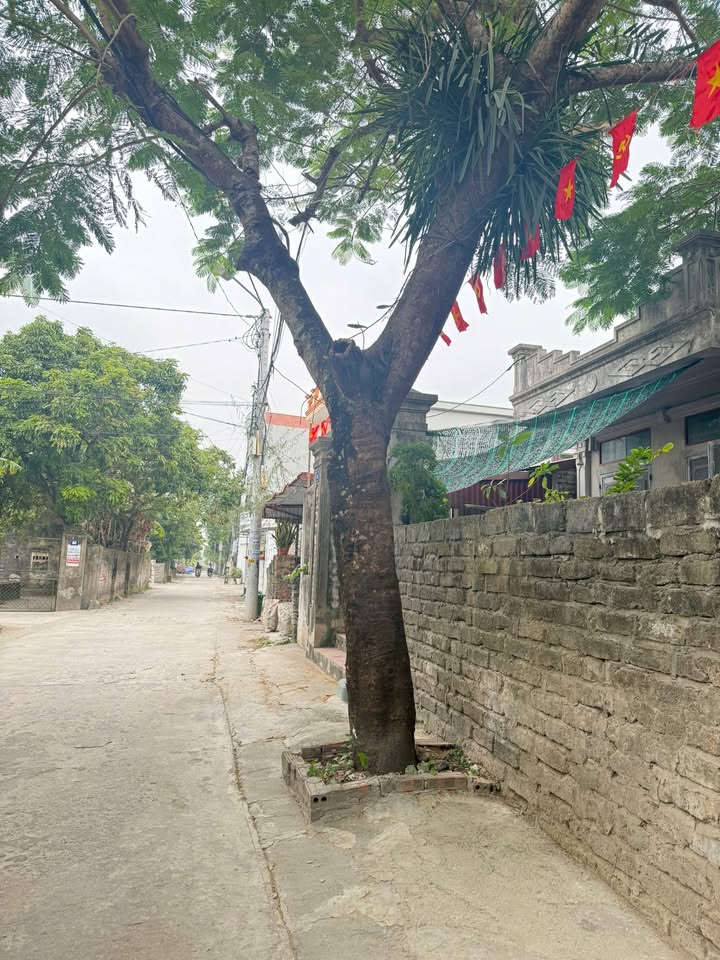 Lô đất đẹp Ninh Tiến 58.8m² giá 2 tỷ - Đầu tư lý tưởng ngay trước Noel!