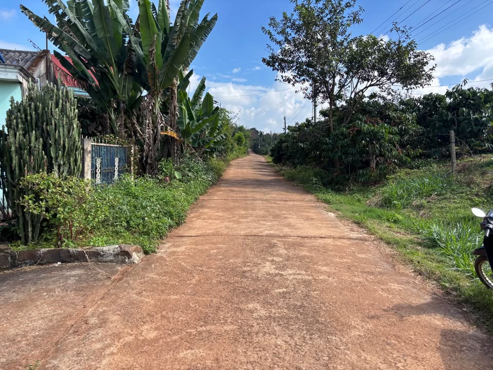 Đất thổ cư Nam Ban 5.000m² giá 1 tỷ - Cơ hội đầu tư hấp dẫn!