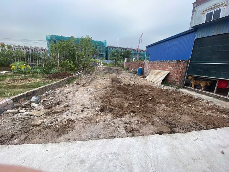 Đất nền Hoa Động - Thủy Nguyên 100m² giá 3 tỷ - Chính chủ cần bán gấp!