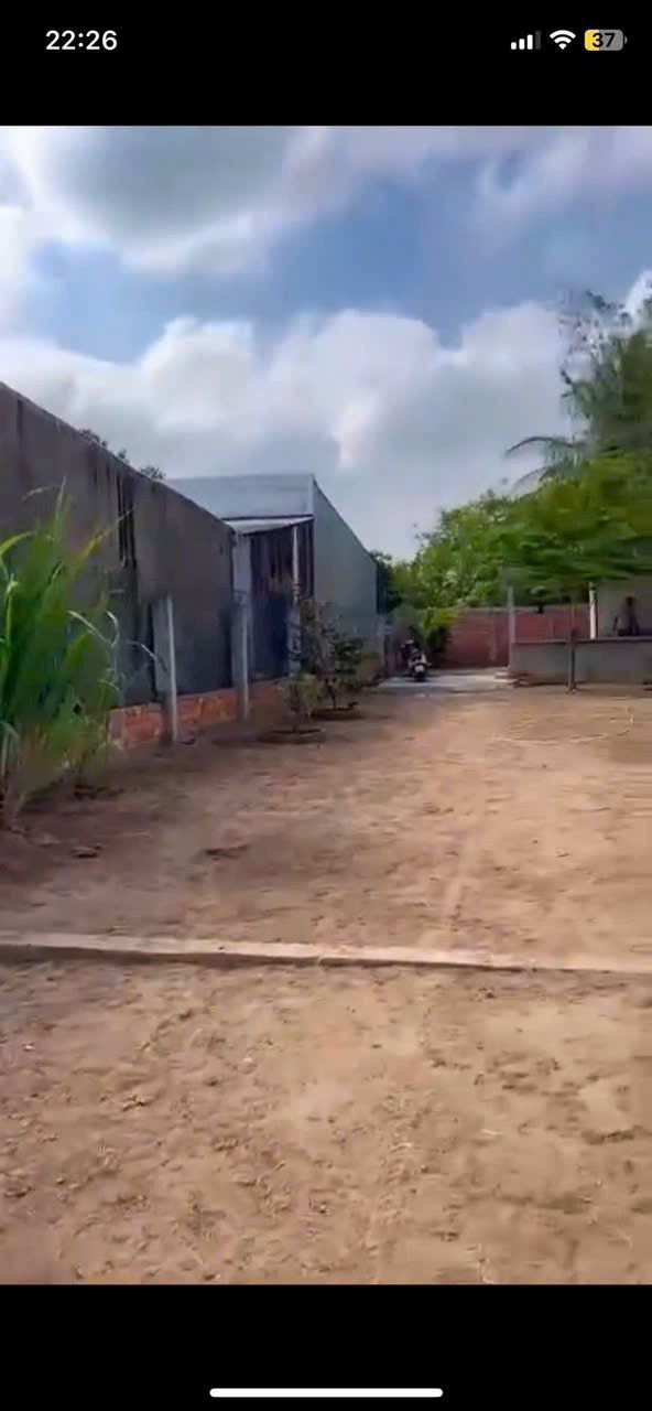 Đất nền Ô Môn 390m² giá 1.9 tỷ - Bán gấp do kẹt tiền!