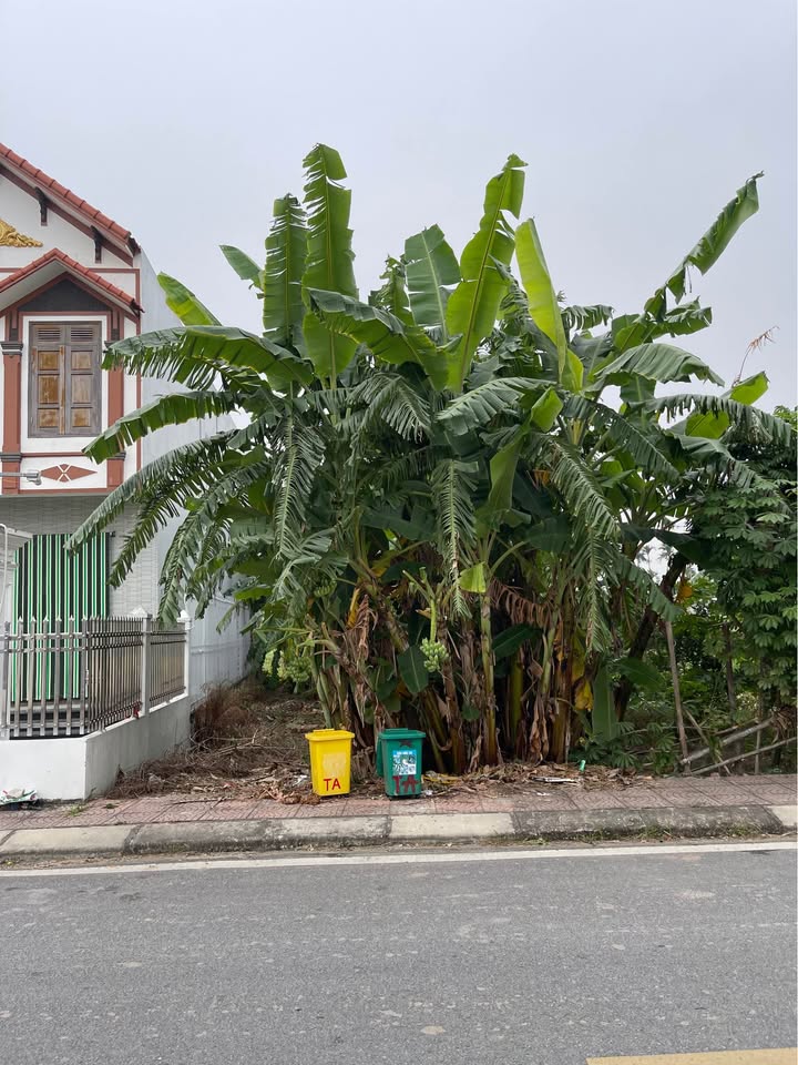 Đất thổ cư Thôn Tiền Anh, xã Ngũ Đoan, 150m² giá 3.15 tỷ - Cơ hội đầu tư sinh lời cao!