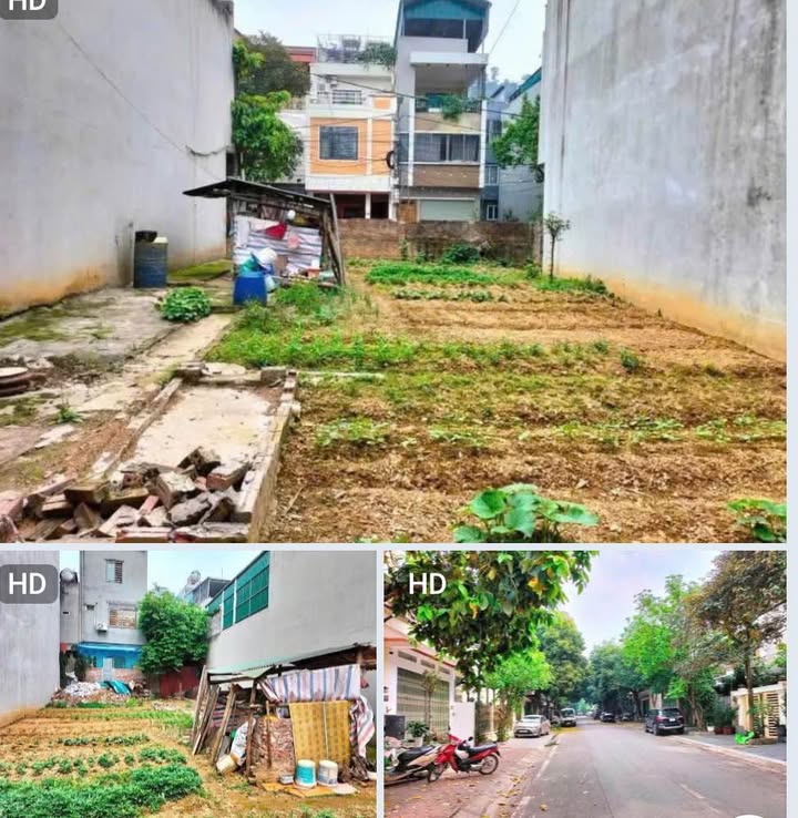 Đất nền Đô Đốc Lộc, Bắc Cường 220m² giá 6.8 tỷ - Sổ đỏ chính chủ!