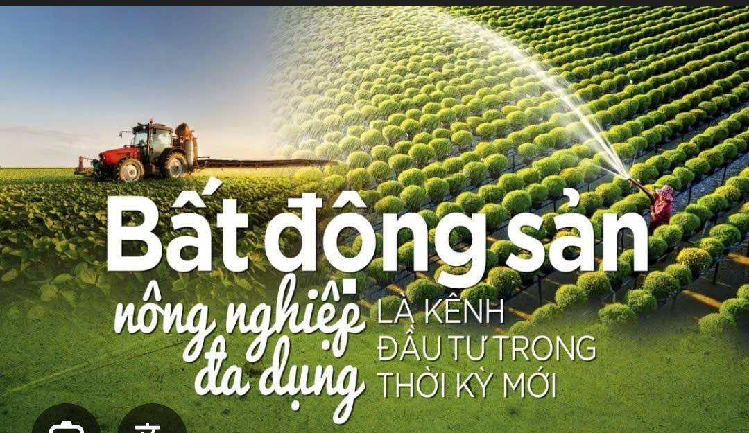 Đất nông nghiệp đa dụng 10.568m² tại An Hưng, Hải Phòng - Cơ hội đầu tư hấp dẫn!