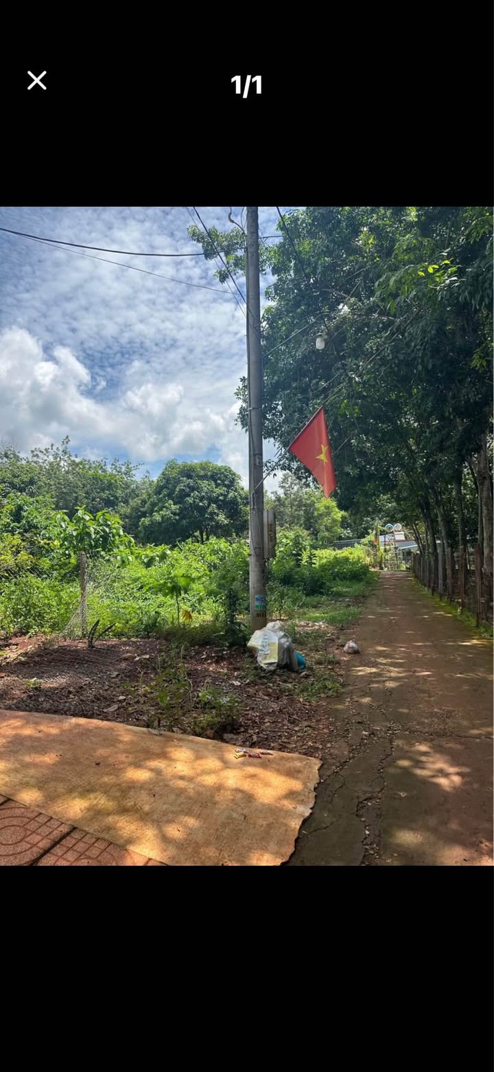 Đất nền mặt tiền ấp 5, xã Lộc Thái, 300m² giá chỉ 450 triệu - Cơ hội đầu tư hấp dẫn!