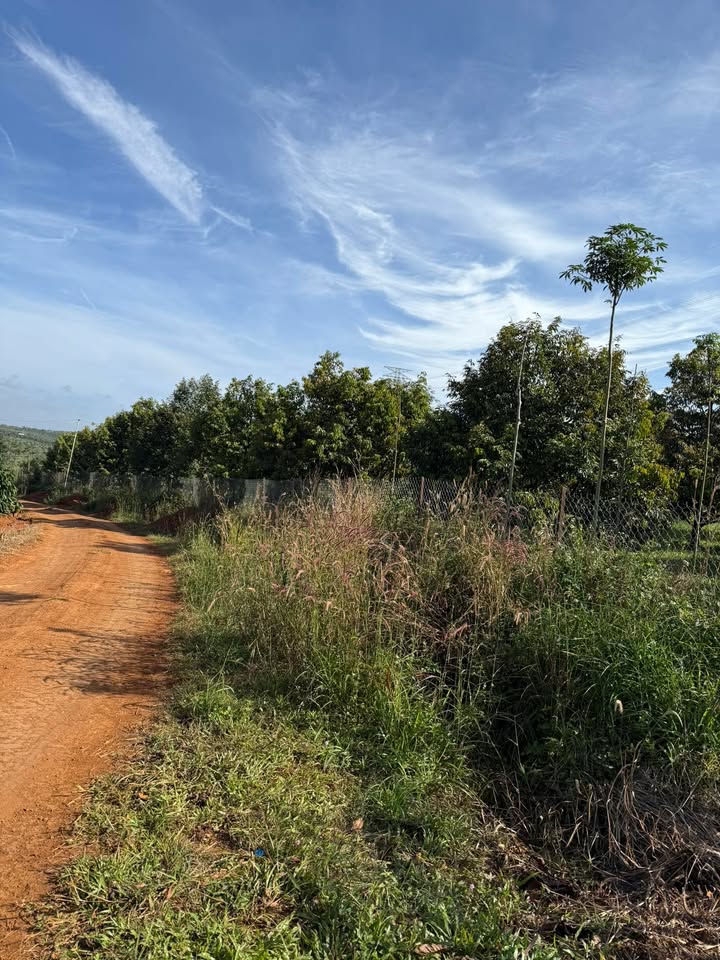 Đất nền Nhân Đạo Đắk Nông 420m² giá 230 triệu - Đường nhựa, ô tô vào tận nơi!