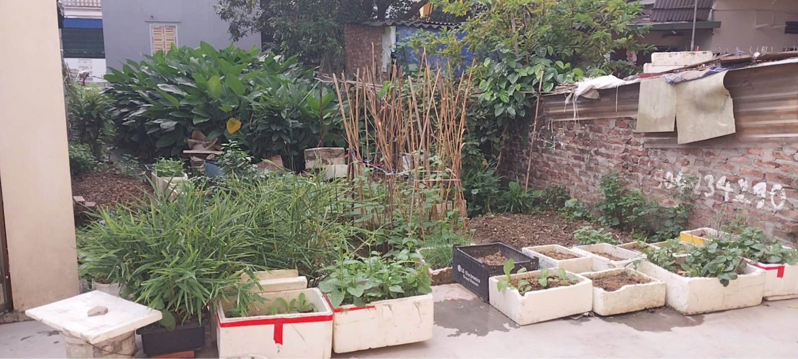 Đất nền An Đồng Hải Phòng 81m² giá 2.187 tỷ - Đầu tư sinh lời tiềm năng!