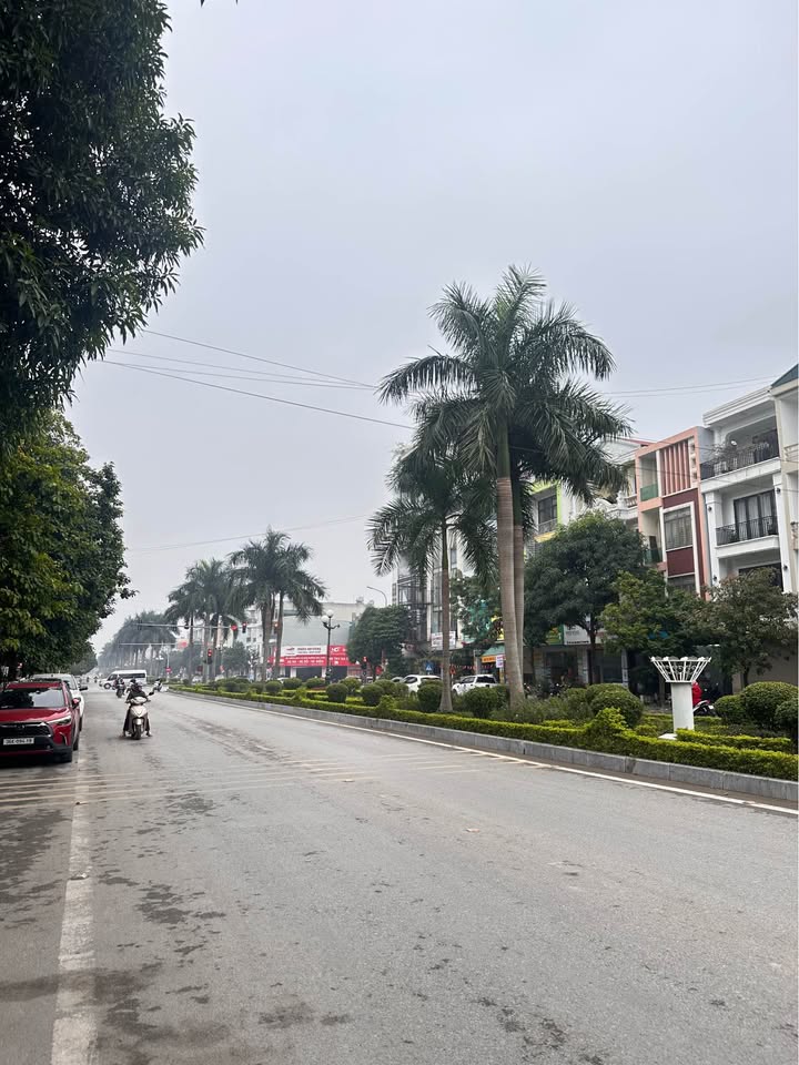 Đất đẹp Lạc Long Quân Đông Vệ 88.5m² giá chỉ 11 tỷ - Cơ hội hiếm có!