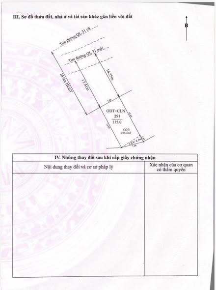 Đất mặt tiền Quốc lộ 31 Lục Nam 115m² giá 4 tỷ - Cơ hội đầu tư hiếm có!