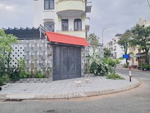 Lô đất biệt thự mặt tiền đường 99 Thạnh Mỹ Lợi 200m² giá 20.8 tỷ - Vị trí vàng gần công viên!