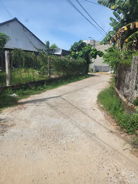 Đất nền Nghĩa Dõng Quảng Ngãi 100m² giá 590 triệu - An cư lý tưởng, giao thông thuận lợi!