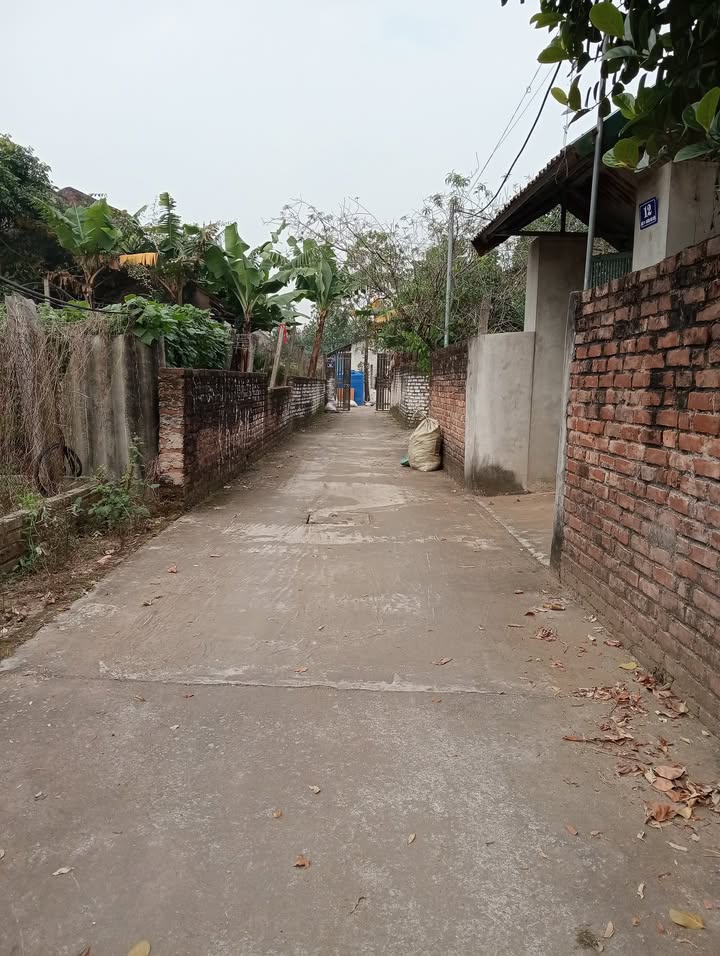 Đất nền 87m² Đội 3, Tự Nhiên, Thường Tín - Vị trí đắc địa, giá chỉ 4.35 tỷ!