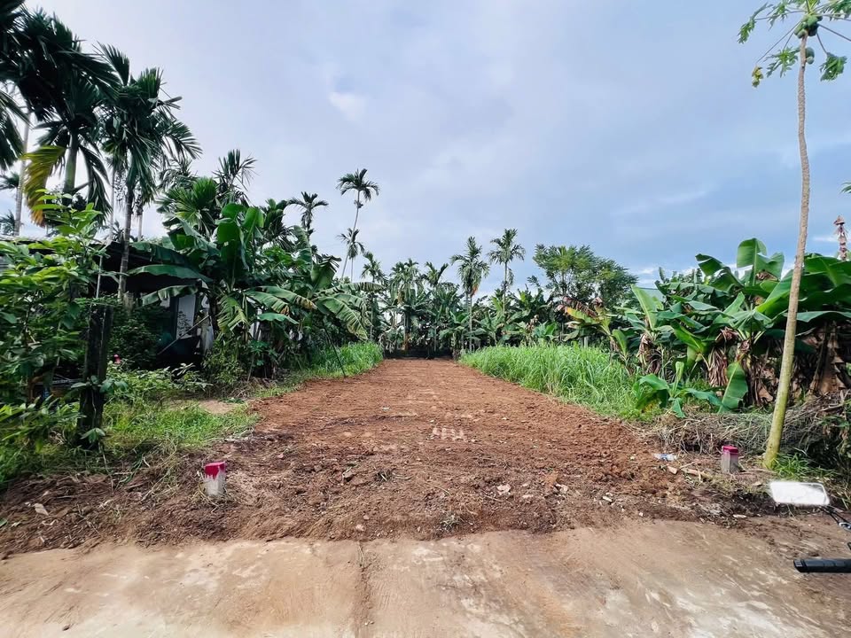 Đất nền Tịnh Hà 120m² giá chỉ 500 triệu - Hướng Nam mát mẻ