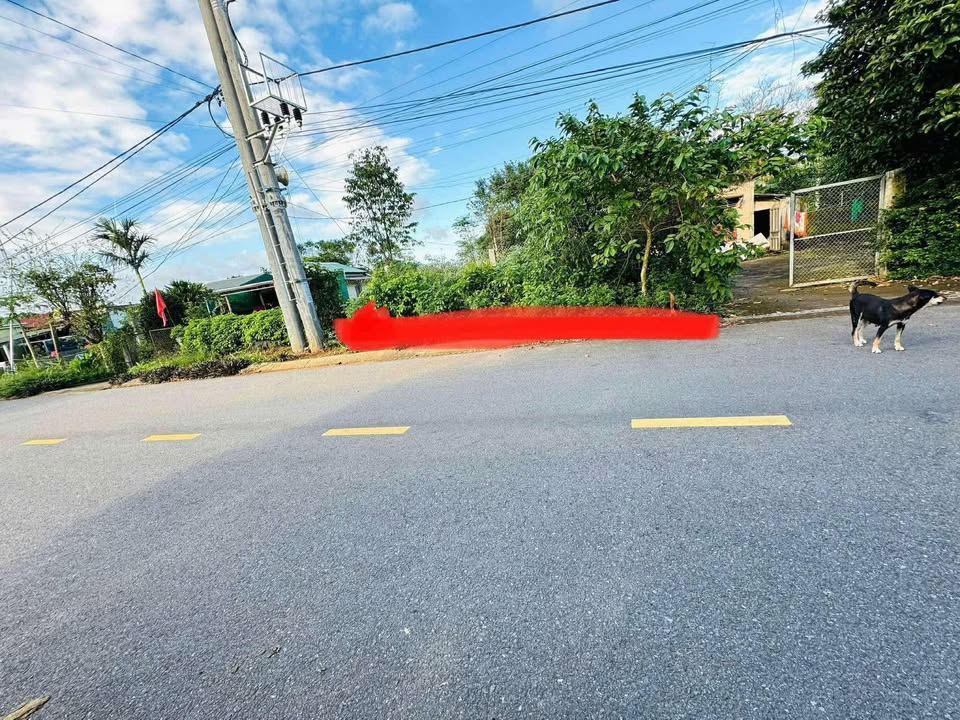 Đất thổ cư 224m² mặt tiền đường Nguyễn Trãi, Hồ Xá - Giá chỉ 1.3 tỷ!