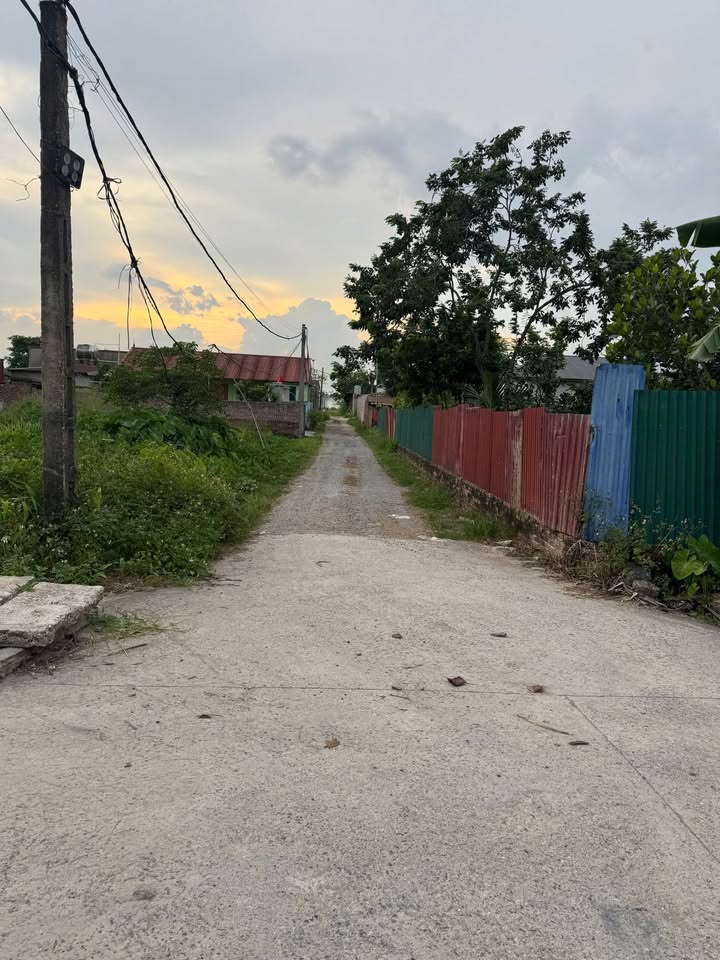 Cho thuê đất làm xưởng 400m² tại Thụy Lâm - Đường rộng, xe tải vào tận nơi!