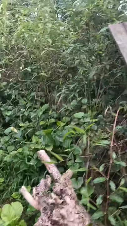 Đất thổ cư Vô Tranh, Phú Lương 4000m² giá 1.68 tỷ - Đầu tư sinh lời tối ưu!