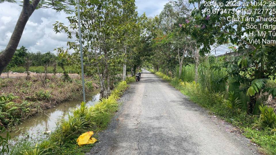 Đất nền tại Hưng Phú, Mỹ Tú 800m² giá chỉ 50 triệu - Vị trí đẹp, tiện lợi!