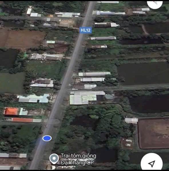 Đất nền mặt tiền đường Huyện Lộ 56, xã Ngọc Tố 504m² - Cơ hội đầu tư hấp dẫn!